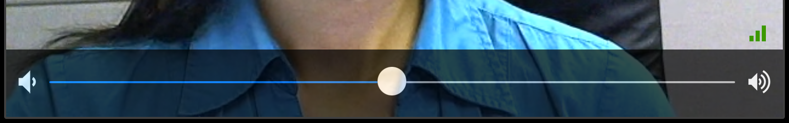 Volume bar on other person's video tile