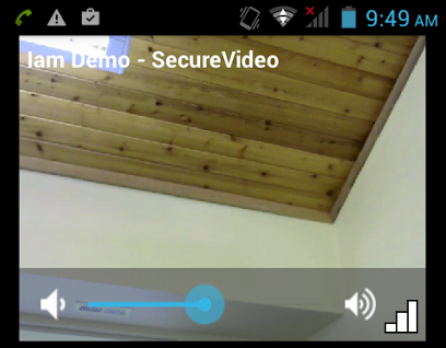 Volume bar on other person's video tile