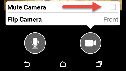 Screencap showing the mute camera option