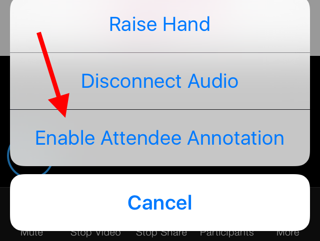 Enable attendee annotation