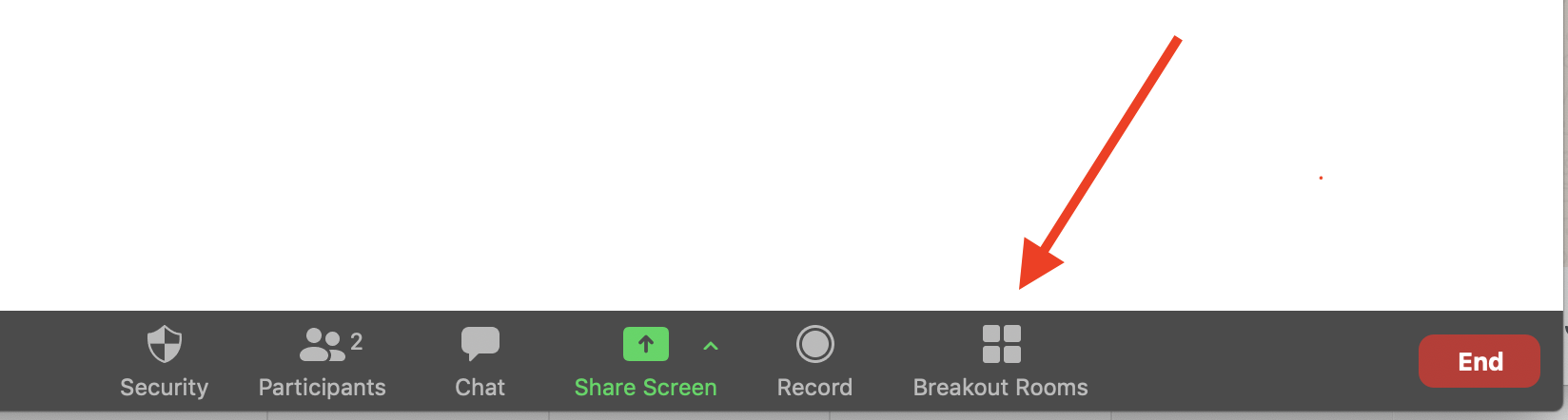Arrow pointing at Breakout Room icon in Zoom app